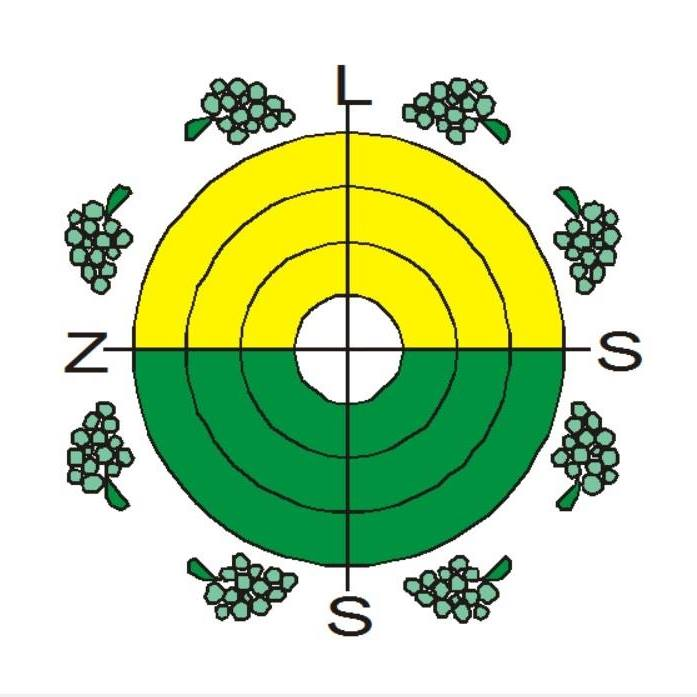 LZSS